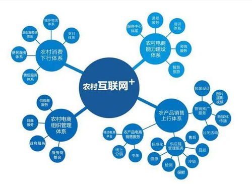 農(nóng)村電商的發(fā)展現(xiàn)狀、問題及趨勢 計(jì)算機(jī)技術(shù)服務(wù)的機(jī)遇與挑戰(zhàn)