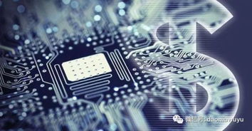 踹高通，棄微軟 蘋(píng)果為何在人工智能基礎(chǔ)軟件上“朝三暮四”